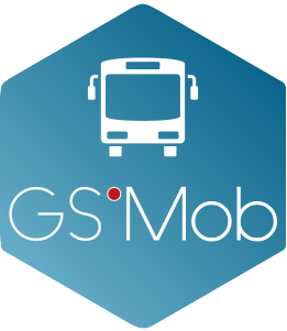 logo solution GS'MOB