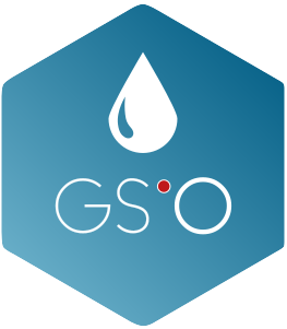 logo solution GS'O